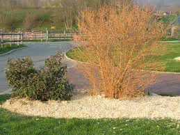Paillagegif