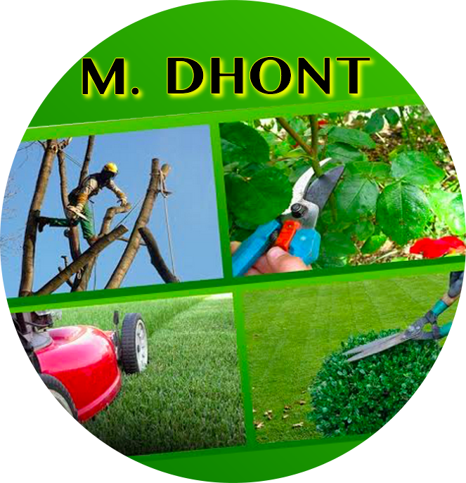 monsieurdhont